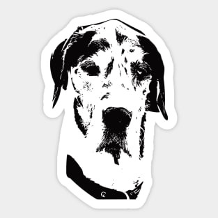 Great Dane Face Sticker